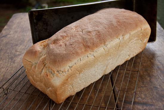 Homebaked bread