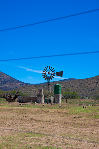 Langfontein Guest Farm