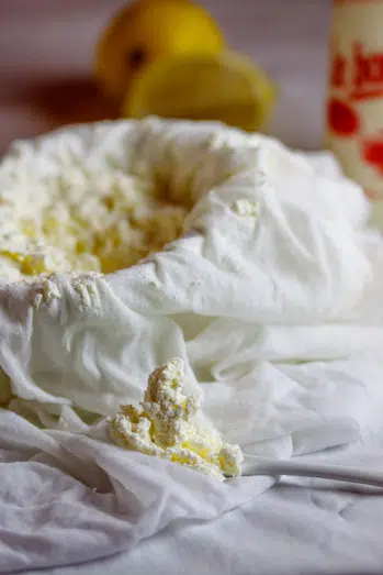 Home-made Ricotta cheese Home-made Ricotta cheese