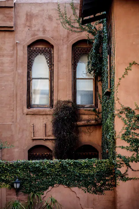 The Orient