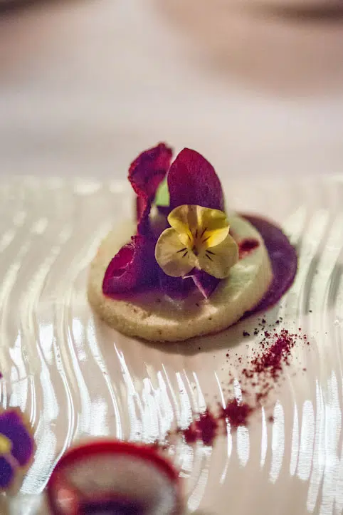 Beetroot Terrine with horseradish sorbet