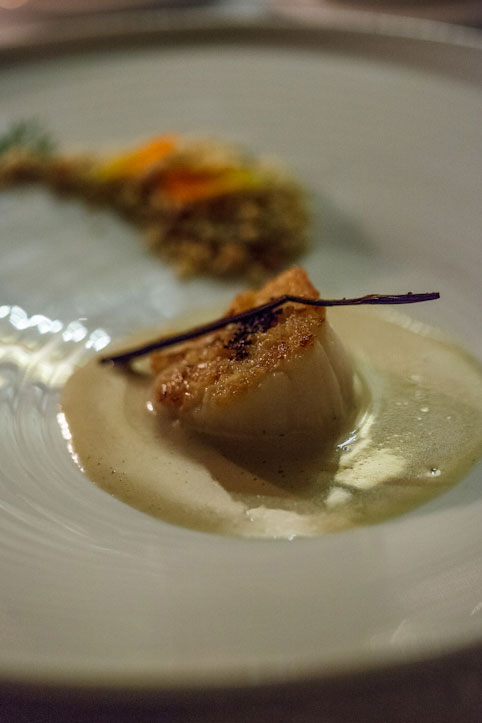 Scallop with hazelnut & vanilla