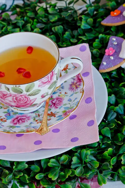 Alice in Wonderland Party