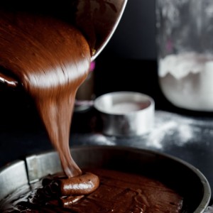 Chocolate Peanut Butter cake Chocolate cake 4 300x300
