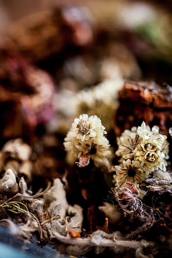 Inverroche Distillery Stillbay