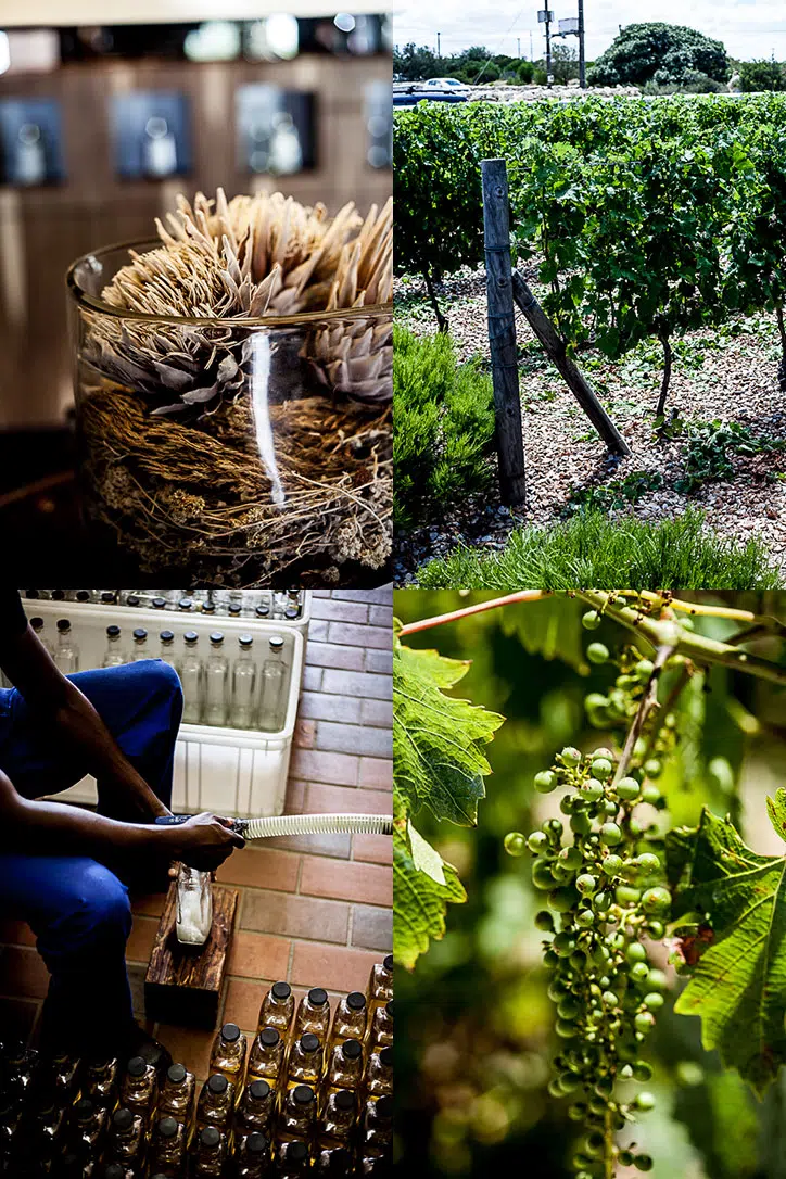 Inverroche Distillery Stillbay