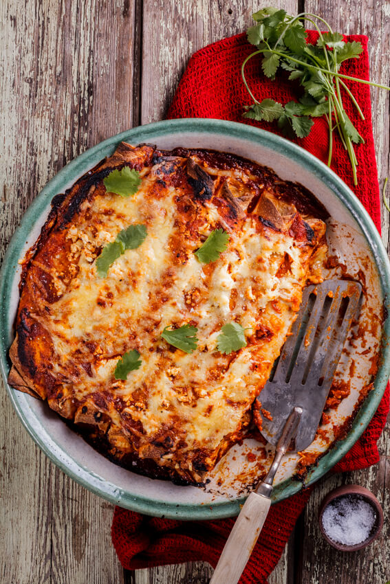 shredded chicken enchiladas