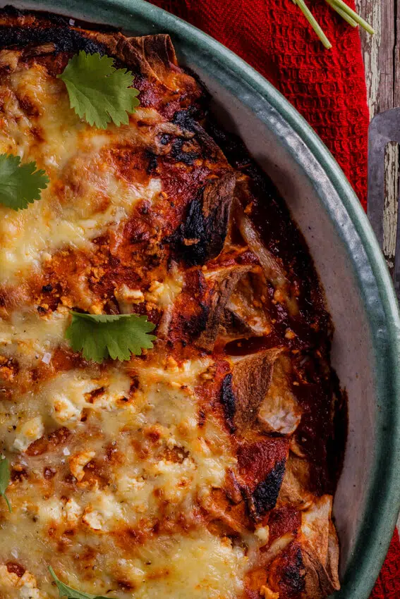 shredded chicken enchiladas