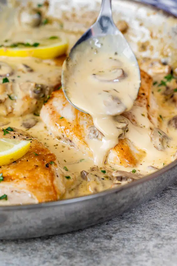 Easy creamy mushroom chicken