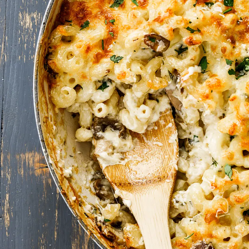 Creamy mushroom pasta bake