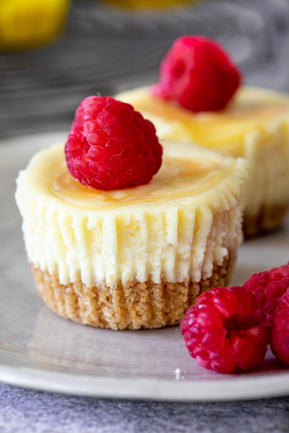 Mini lemon curd cheesecakes - Simply Delicious