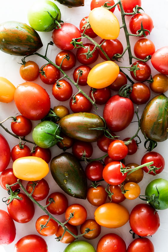 Fresh tomatoes