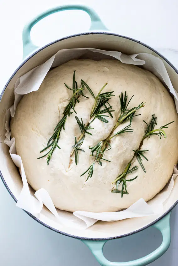 Potato bread dough with fresh rosemary.