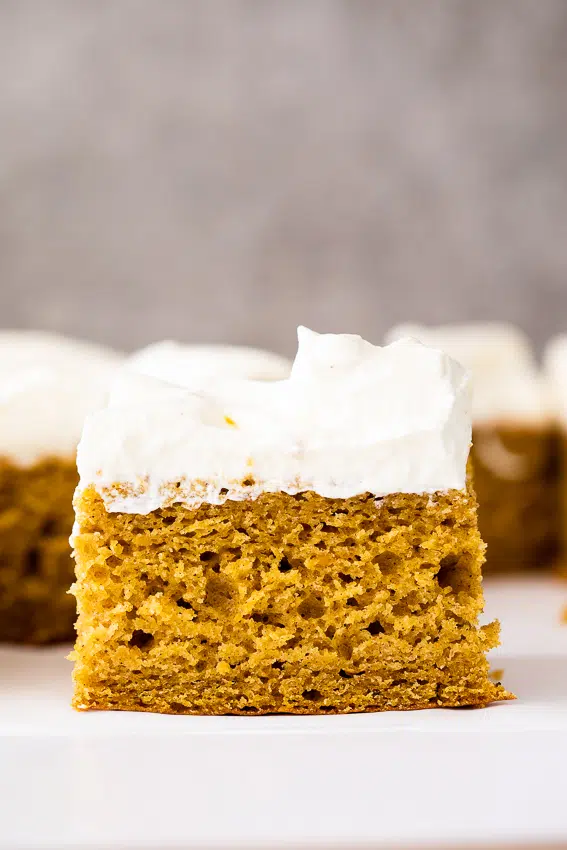 Pumpkin sheet cake with Chantilly cream