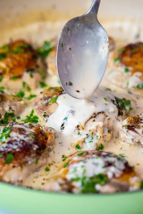 Chicken thighs in creamy garlic Parmesan sauce