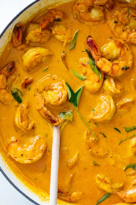 Creamy shrimp curry