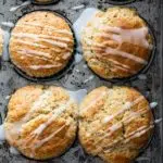 Lemon Poppy Seed Muffins