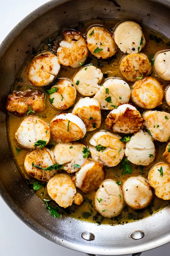 Panfried scallops with white wine garlic sauce