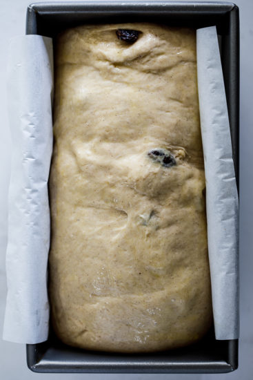 Easy cinnamon raisin dough