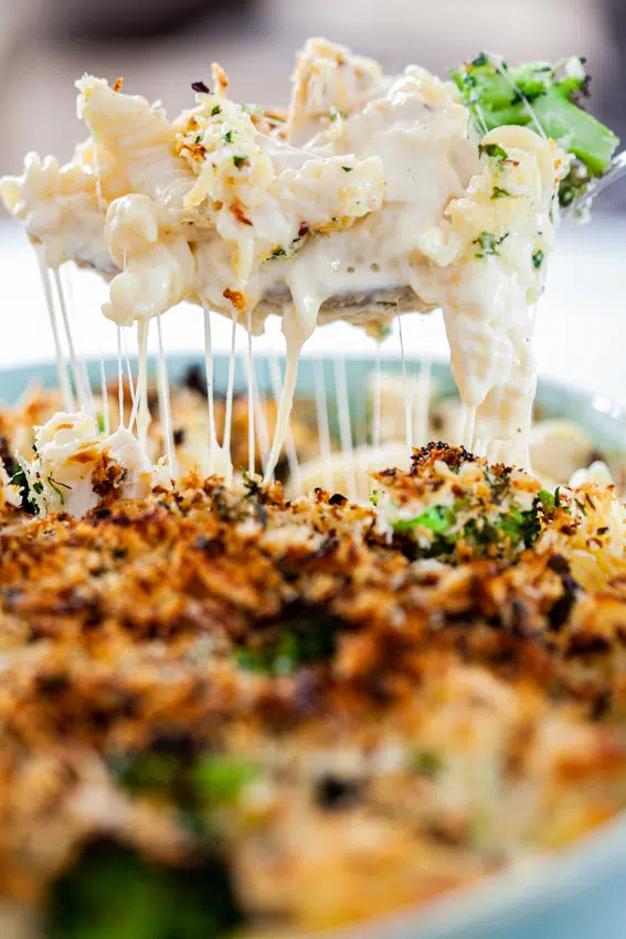 Cheesy Broccoli Chicken Pasta Bake