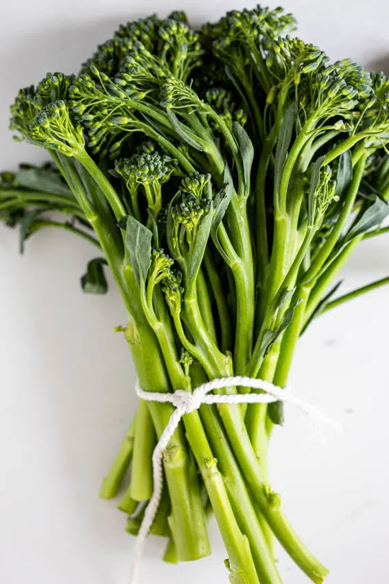 Broccolini tied in a bunch.