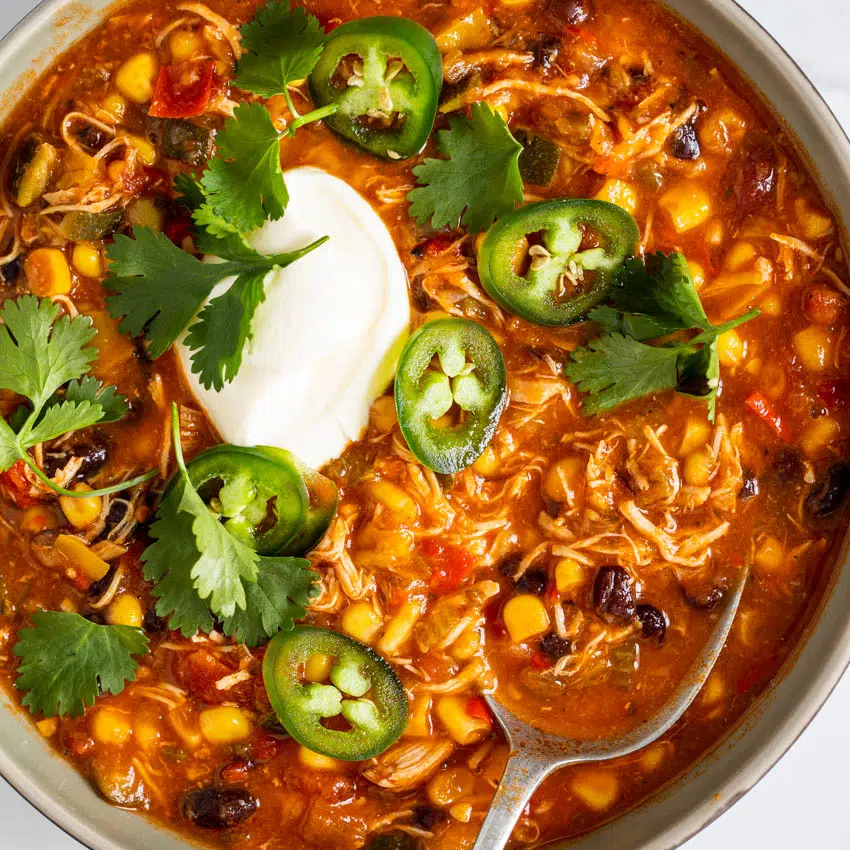 Instant pot chicken black bean soup