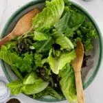 Lemon Parmesan Green Salad