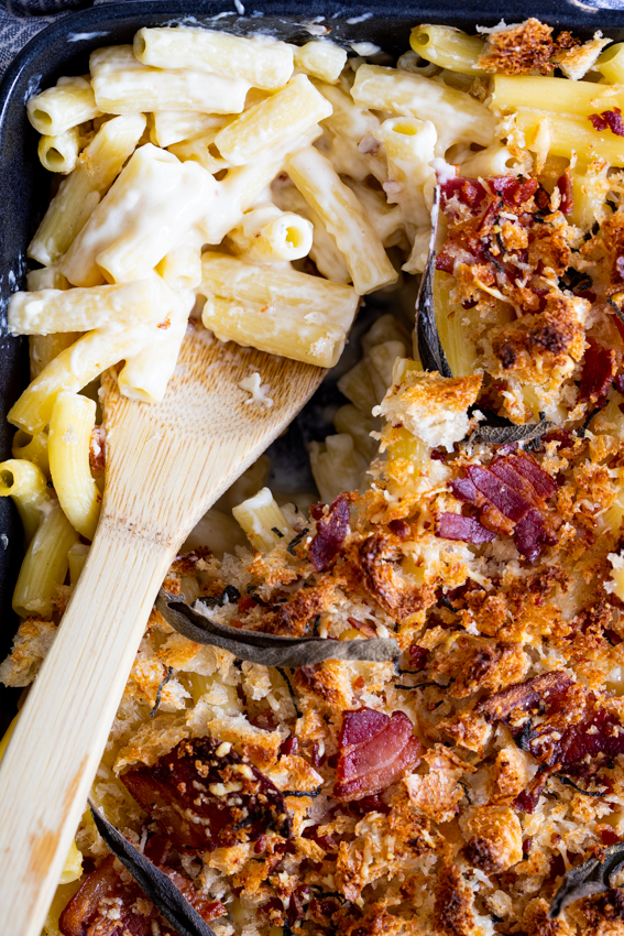 Creamy mac and cheese with bacon crumbs