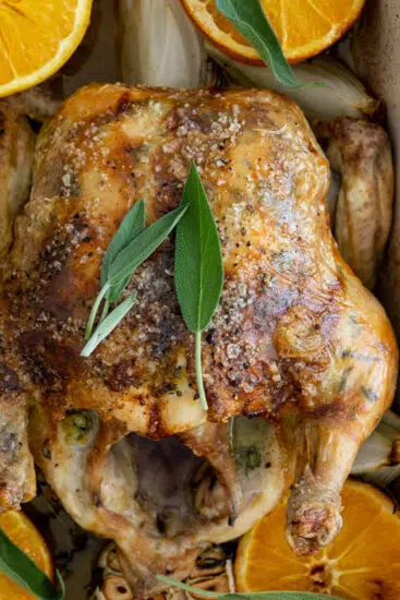 Sage orange Christmas chicken