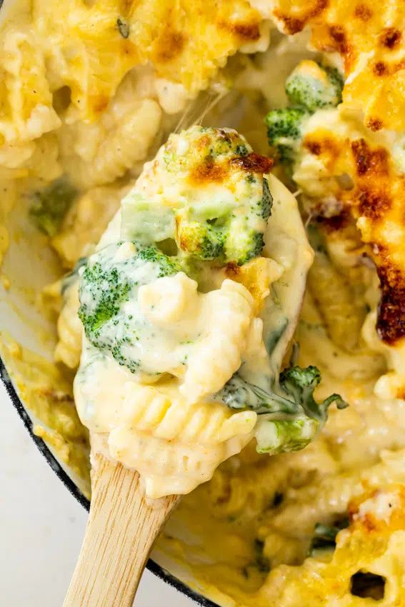 Broccoli cheddar pasta bake