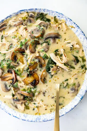 Rotisserie chicken mushroom soup