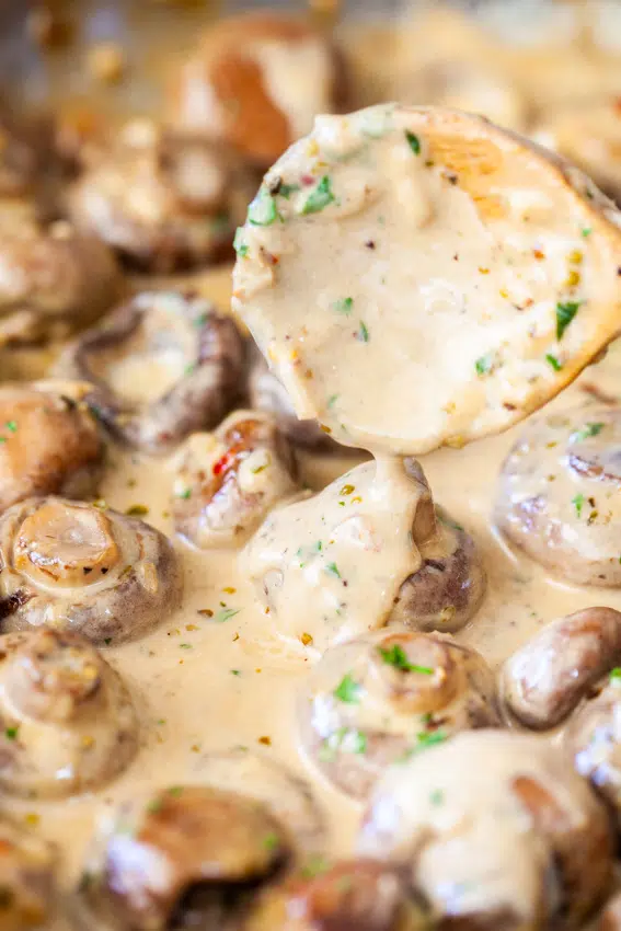 Mushrooms cooked in creamy garlic parmesan sauce.
