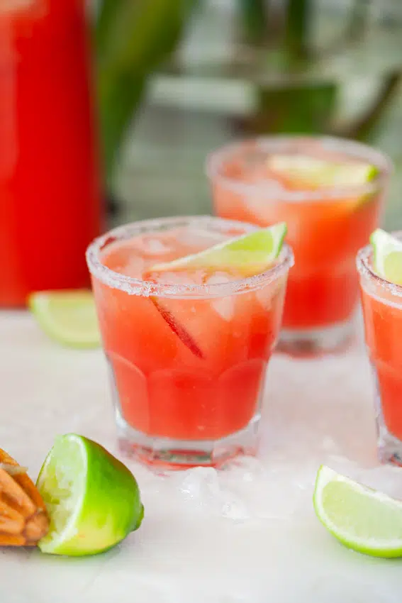 Watermelon Margarita