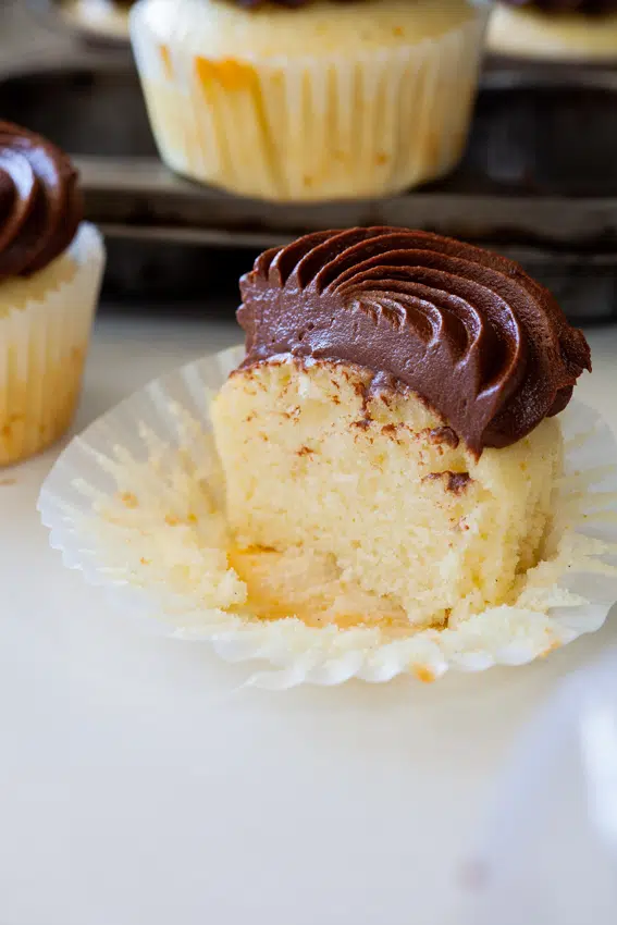 Vanilla Cupcakes with Chocolate Frosting.
