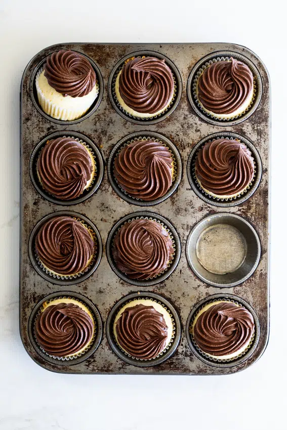 Vanilla Cupcakes with Chocolate Frosting