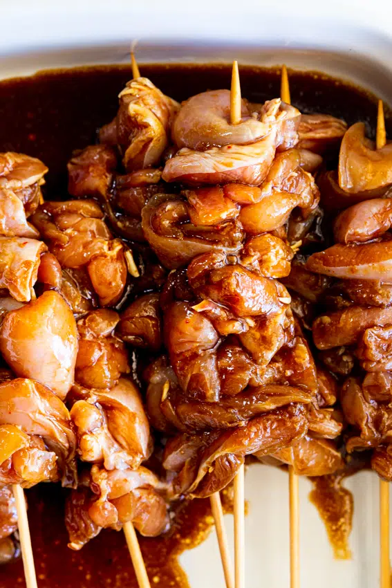 Sticky Soy Honey Chicken Kebabs