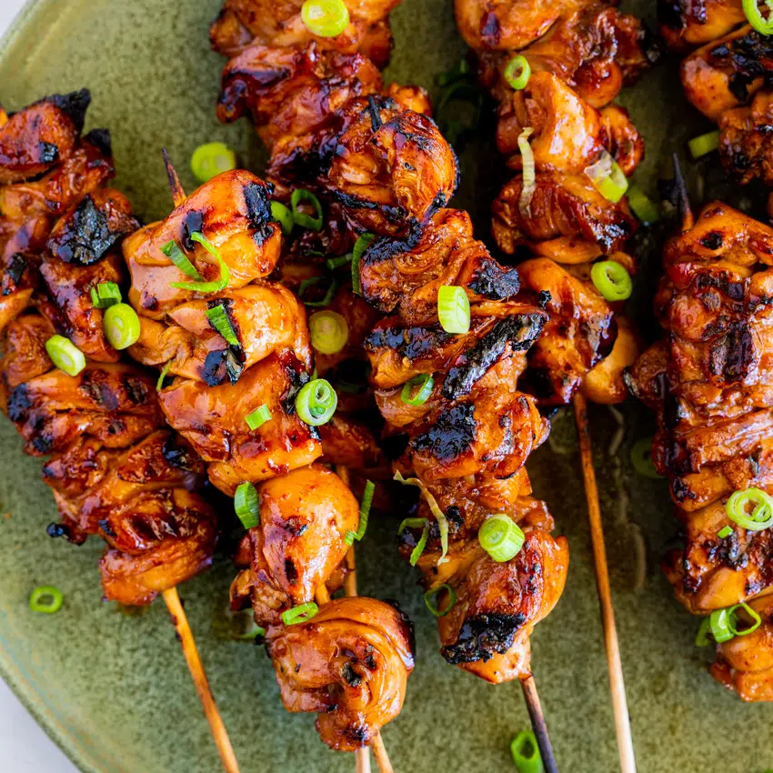 Sticky Soy Honey Chicken Kebabs