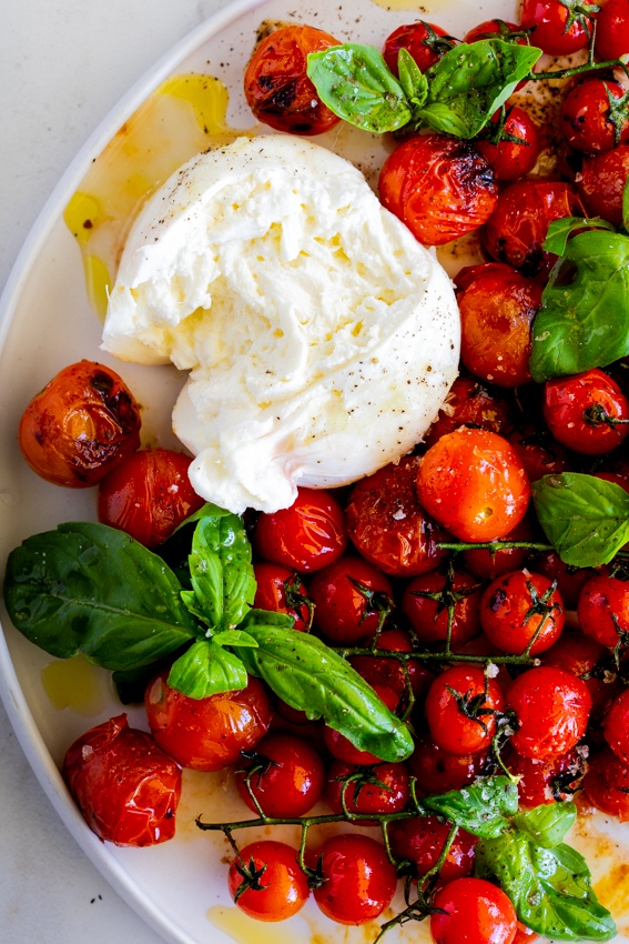 Burrata Cheese with Roasted Cherry Tomatoes