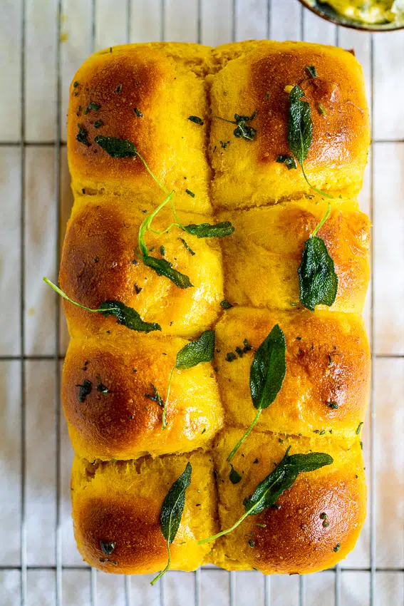 Soft Pumpkin Dinner Rolls with Sage Butter