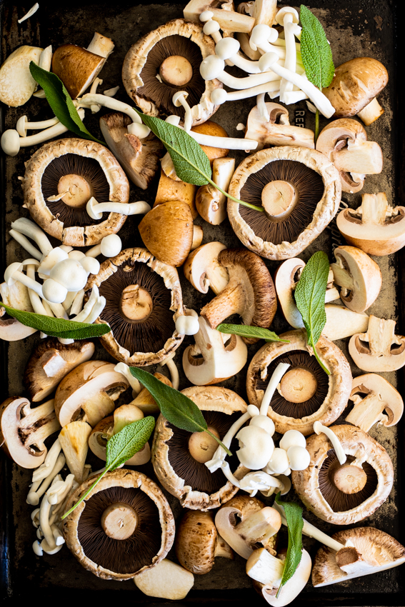 Mushrooms and sage