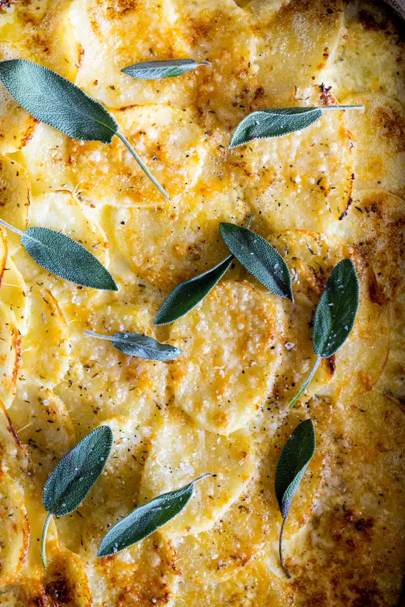 Three cheese potatoes au gratin