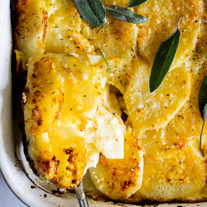 Three cheese potatoes au gratin