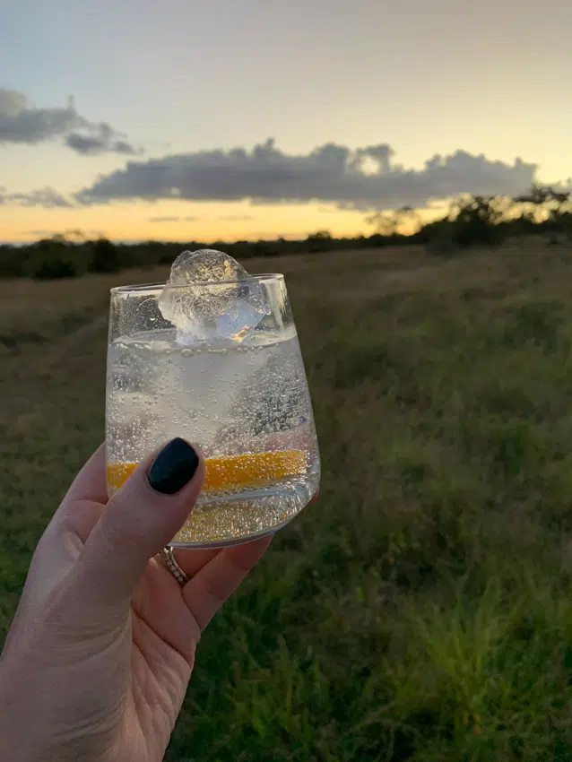 Gin and tonic game drive