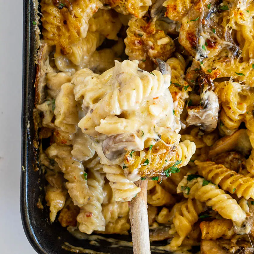 Creamy four cheese mushroom pasta bake