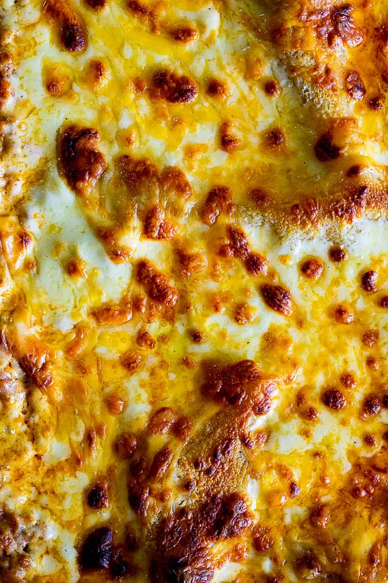 Three Cheese Lasagna