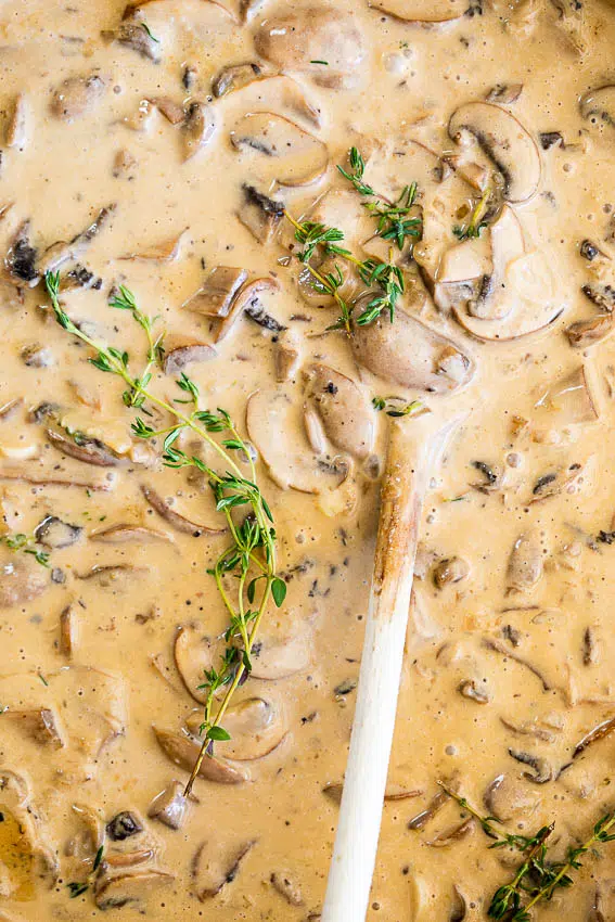Creamy Mushroom Stroganoff