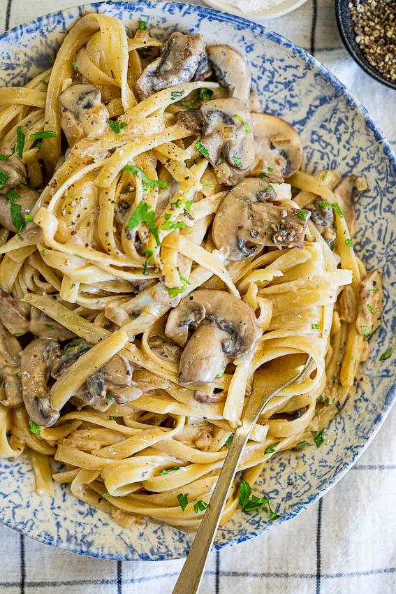 Creamy Mushroom Stroganoff