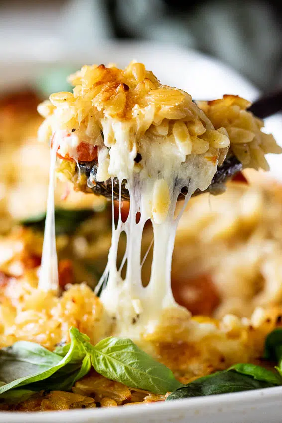 Creamy tomato mozzarella baked orzo