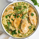Easy Spring Vegetable Chicken Orzo
