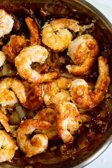 Firecracker shrimp